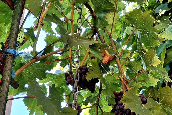 Z obývačky rovno na terasu a z terasy do zahrady - 7