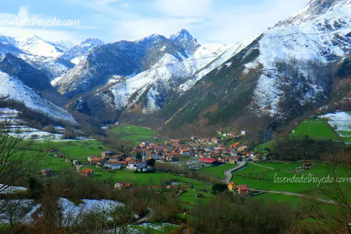 Modern Family Beach House - 10