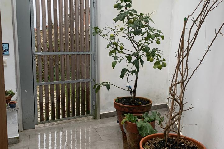 Modern Family Beach House - 5