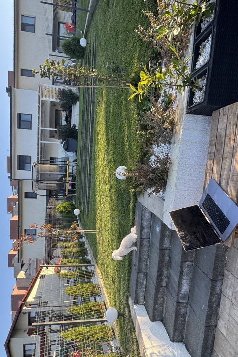 Amazing view villa near Cluj-Napoca - 1