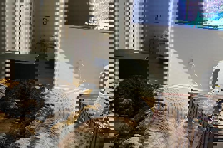 Miami Apartment, centrally located - 3