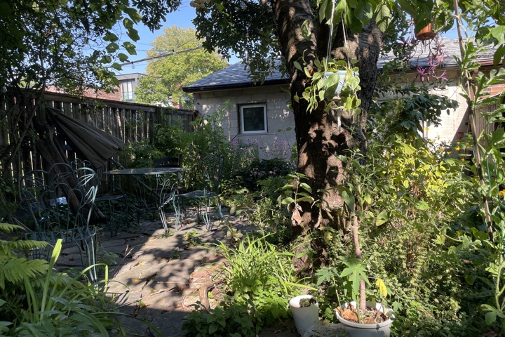 Beautiful One Bedroom with study in Little Italy - 7