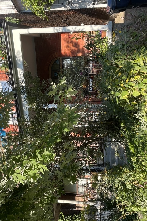 Beautiful One Bedroom with study in Little Italy - 1