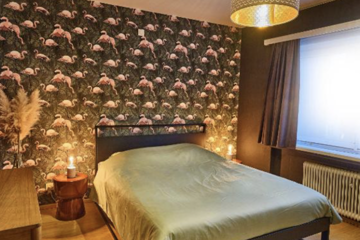Cosy coast apartment close to medieval Brugge - 1