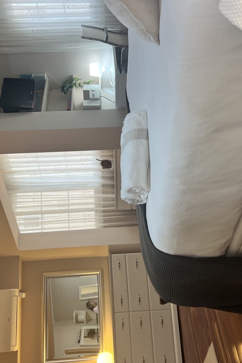 Luxury condo excellent location - 12