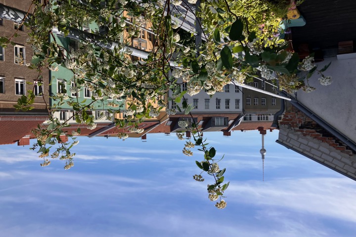 Bright and sunny in the heart of Prenzlauer Berg - 6