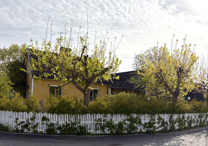 home swap in Lidingö, Sweden