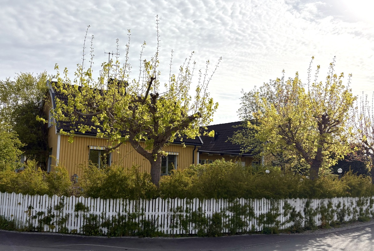 Charming and Spacious Family Home