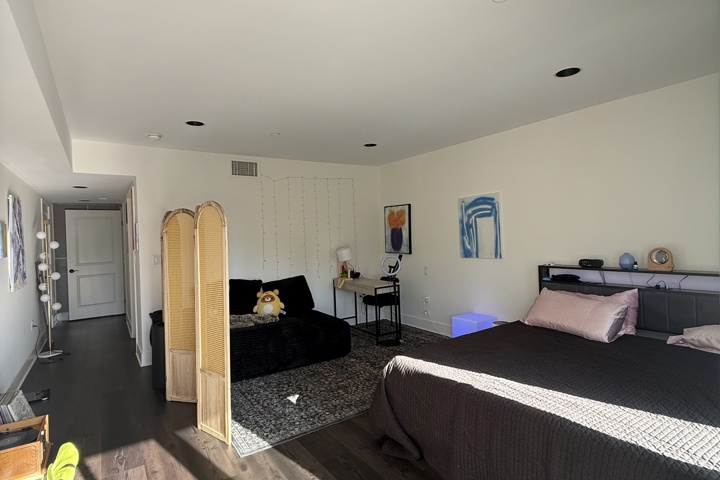 Spacious apartment with plants and a home office - 38