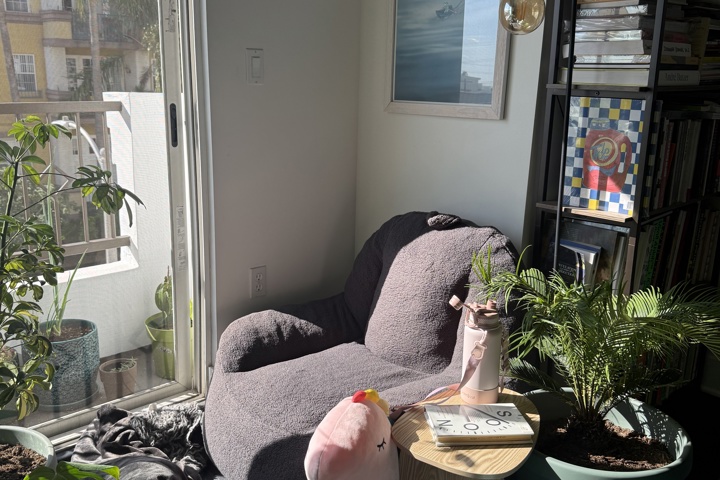 Spacious apartment with plants and a home office - 16