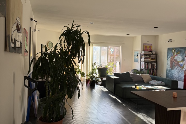 Spacious apartment with plants and a home office - 2