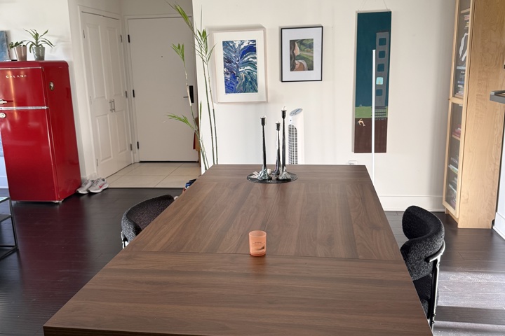 Spacious apartment with plants and a home office - 5