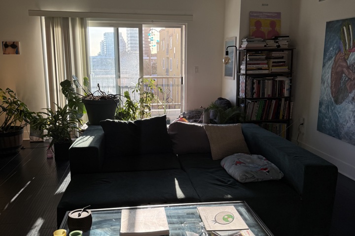 Spacious apartment with plants and a home office - 10