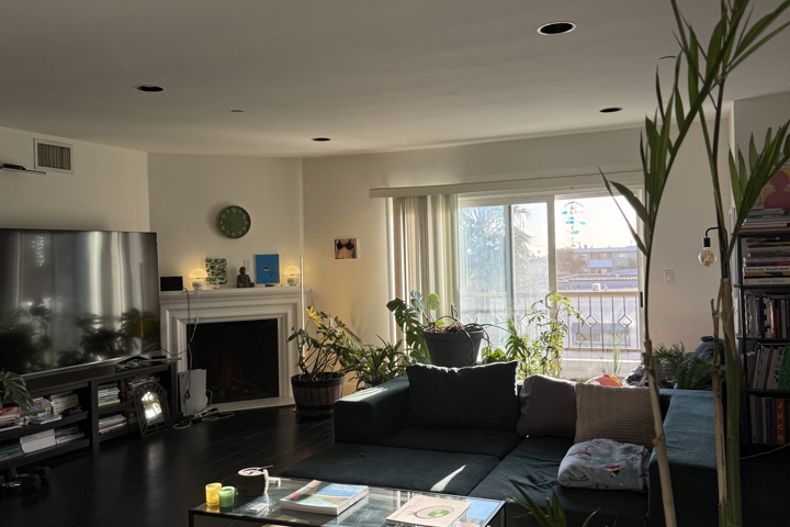 Spacious apartment with plants and a home office - 4