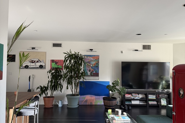 Spacious apartment with plants and a home office - 9