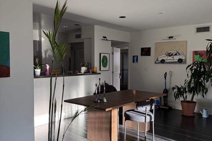 Spacious apartment with plants and a home office - 7