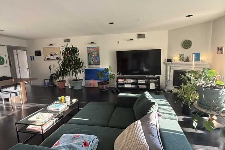 Spacious apartment with plants and a home office - 8