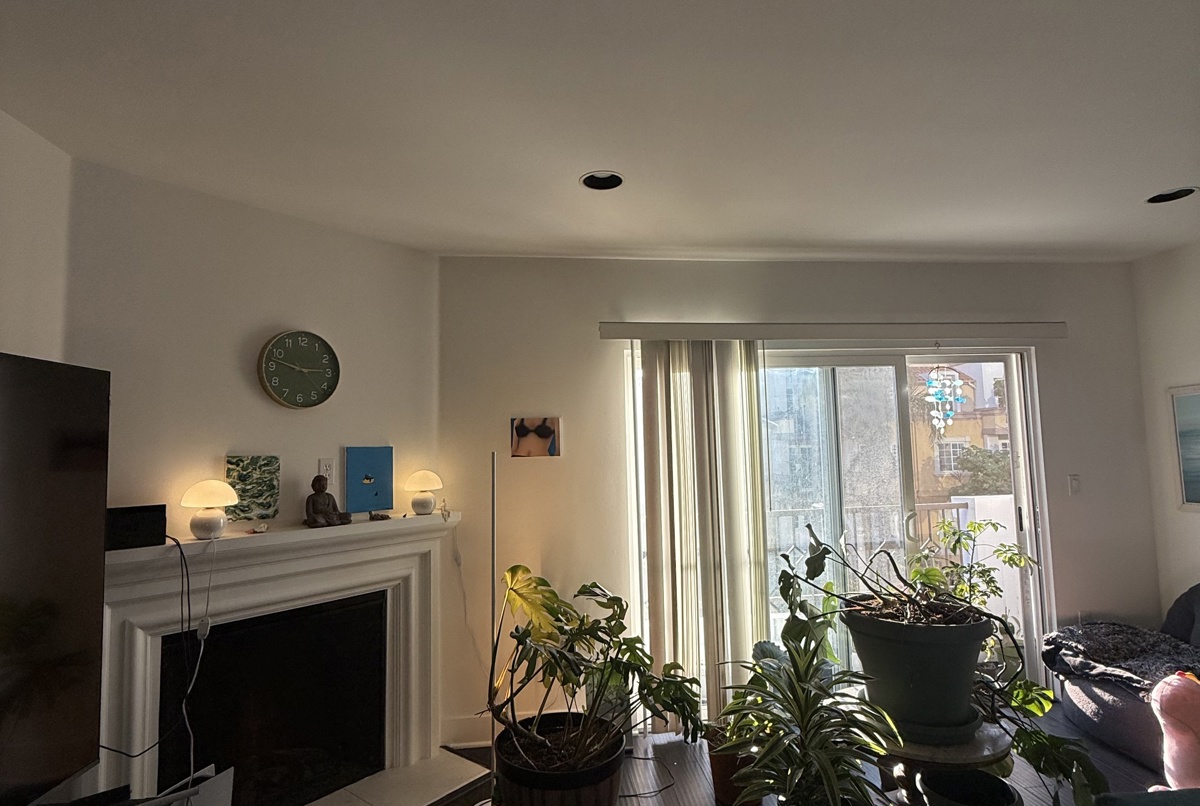 Spacious apartment with plants and a home office