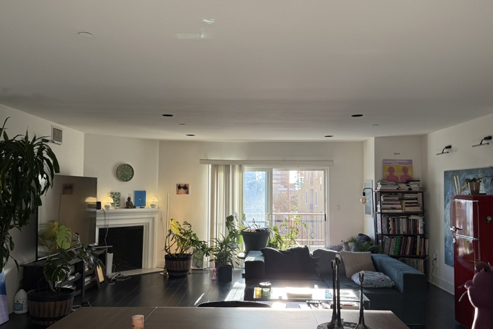 Spacious apartment with plants and a home office - 3