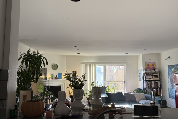 Spacious apartment with plants and a home office - 21