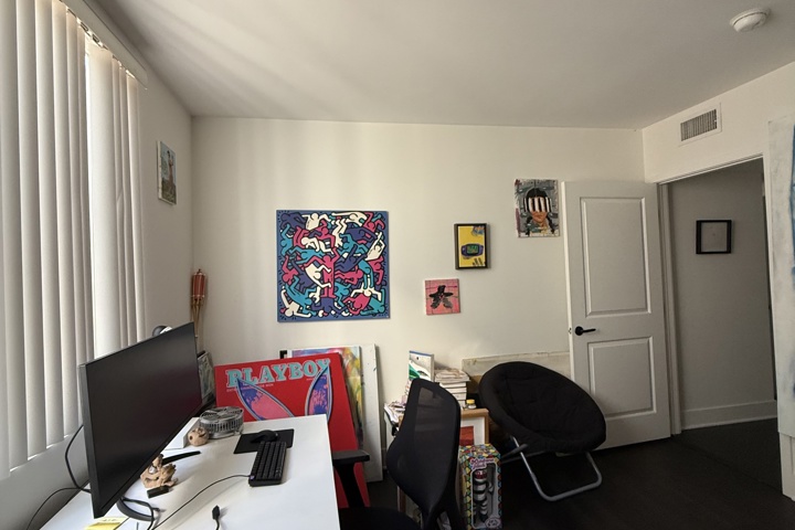 Spacious apartment with plants and a home office - 33