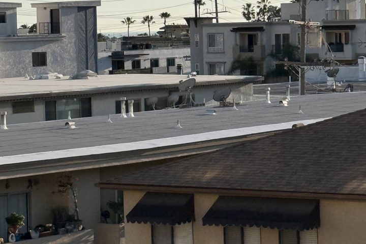 Spacious apartment with plants and a home office - 44