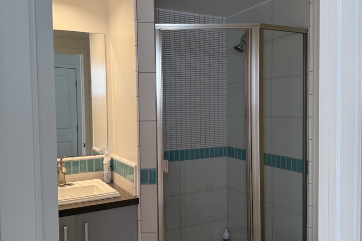 Spacious apartment with plants and a home office - 17