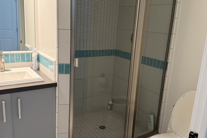 Spacious apartment with plants and a home office - 18