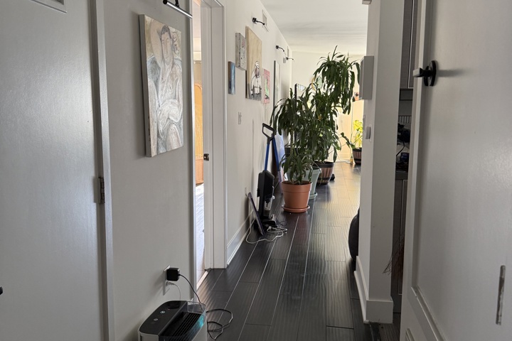 Spacious apartment with plants and a home office - 28