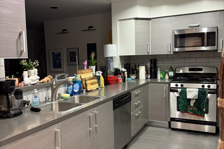 Spacious apartment with plants and a home office - 23