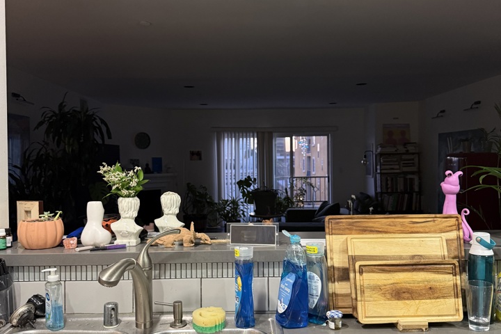 Spacious apartment with plants and a home office - 22