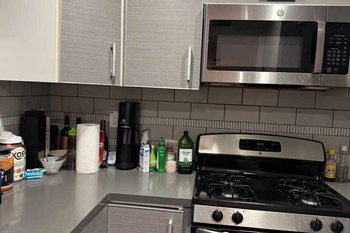 Spacious apartment with plants and a home office - 24