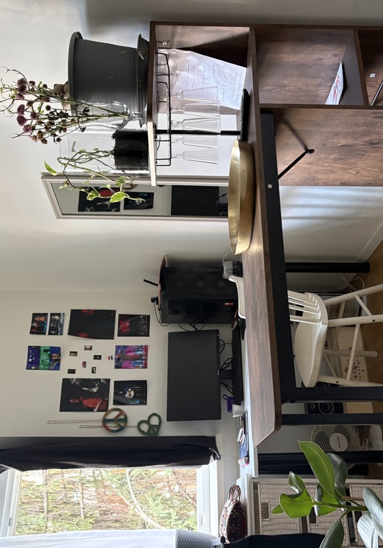 home swap in Vienna, Austria