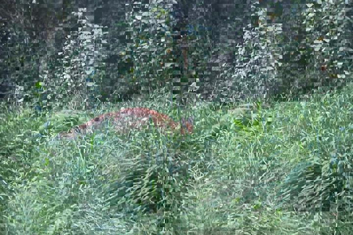 3 story house in a small town surrounded by nature - 6