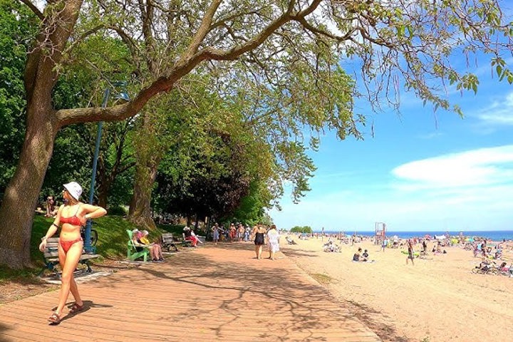 Brooklyn of Toronto - 14