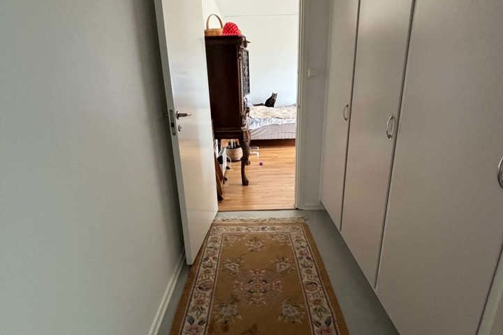 Cozy large one room and kitchen - 4