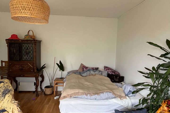 Cozy large one room and kitchen - 2