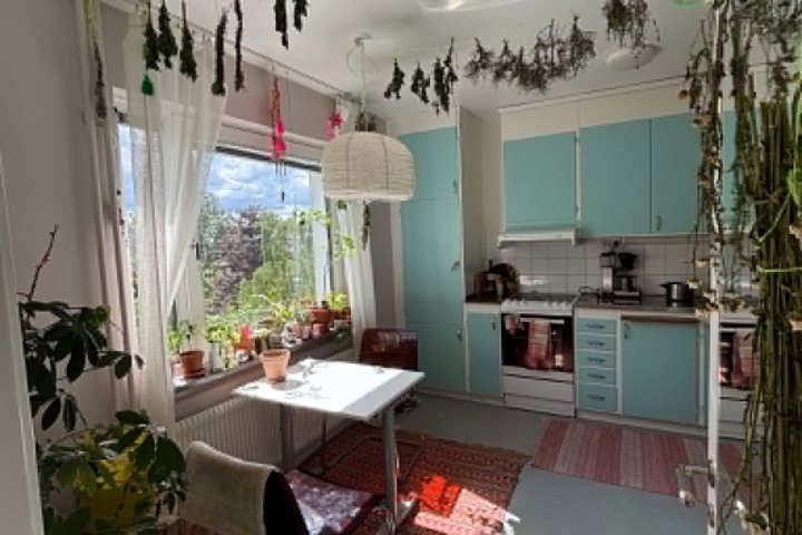 Cozy large one room and kitchen - 1