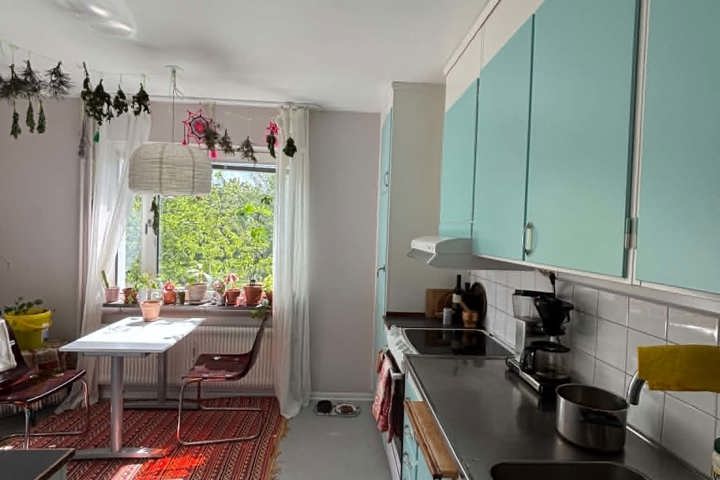 Cozy large one room and kitchen - 3