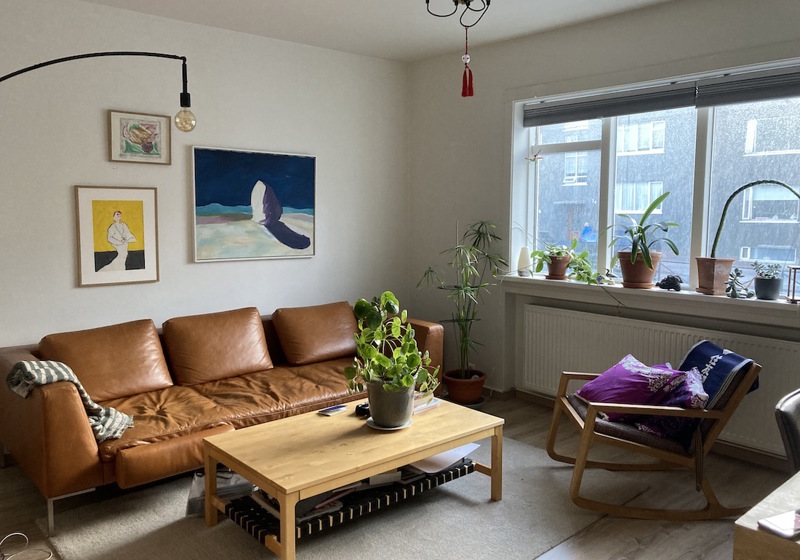 home swap in Reykjavik, Iceland