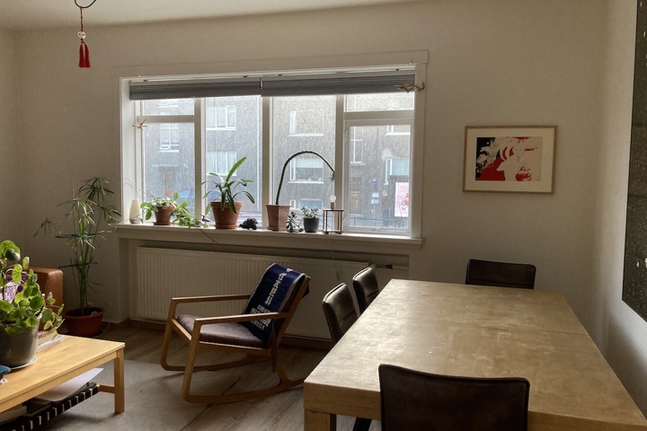 Very cozy apartment in best location in Reykjavík. - 1