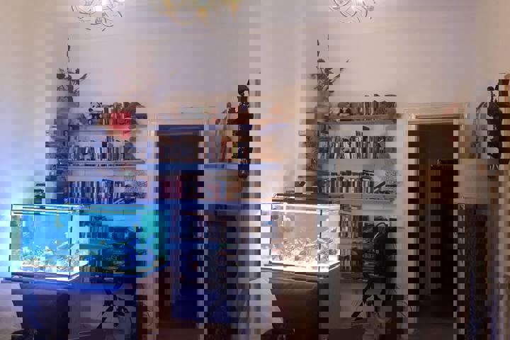 Charming flat in Berlin with cats - 2