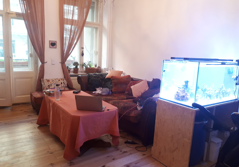 home swap in Berlin, Germany