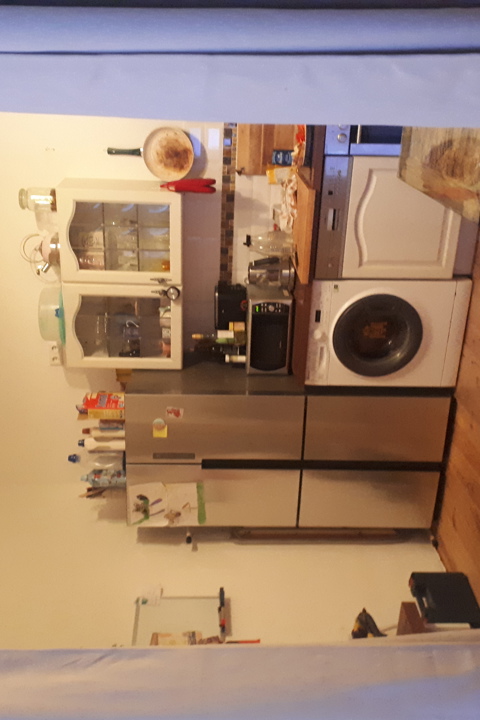 Charming flat in Berlin with cats - 4