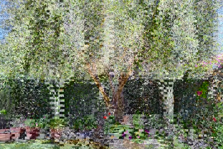 House with garden 5 minutes from clear water beach - 1