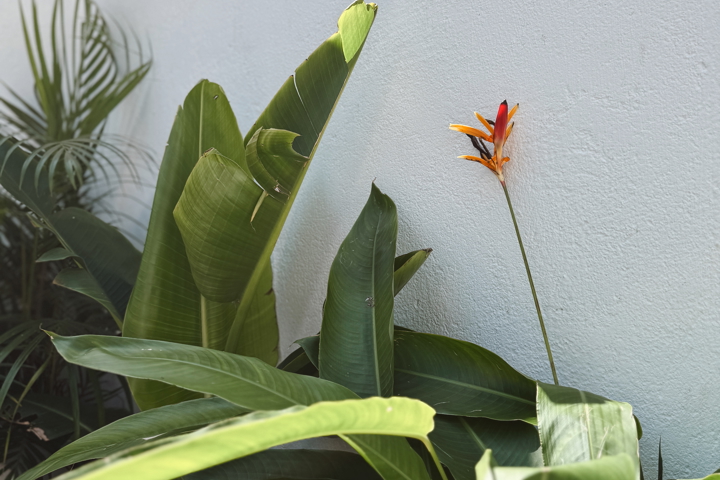 Traditional and peaceful Búzios by the sea - 12