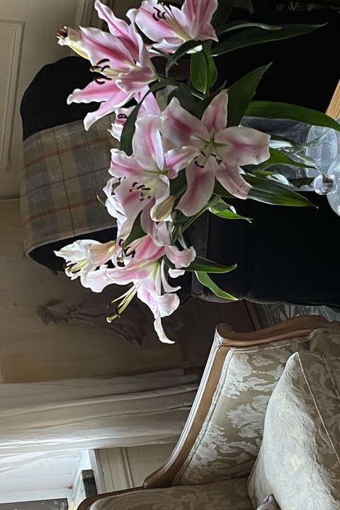 Charming pre-war large one bedroom - 2