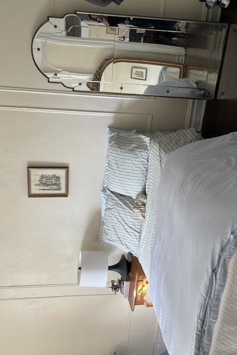 Charming pre-war large one bedroom - 4