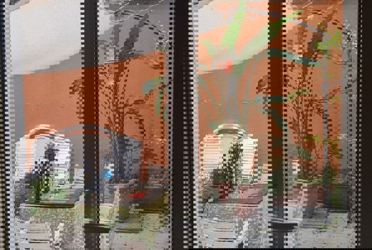 Cozy Home in central Rome