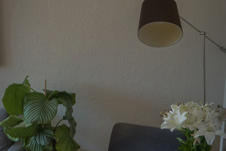 Cozy apartment in the city - 5